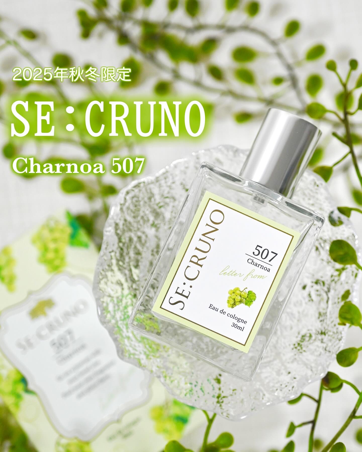 SE:CRUNO（シークルーノ）様より「シークルーノ オーデコロン シャルノア507」をいただきました。
⁡
こちらは2025年秋冬限定、数量限定オーデコロンなのだそうです。
SE:CRUNO（シークルーノ）様のデザインはいつも素敵ですよね