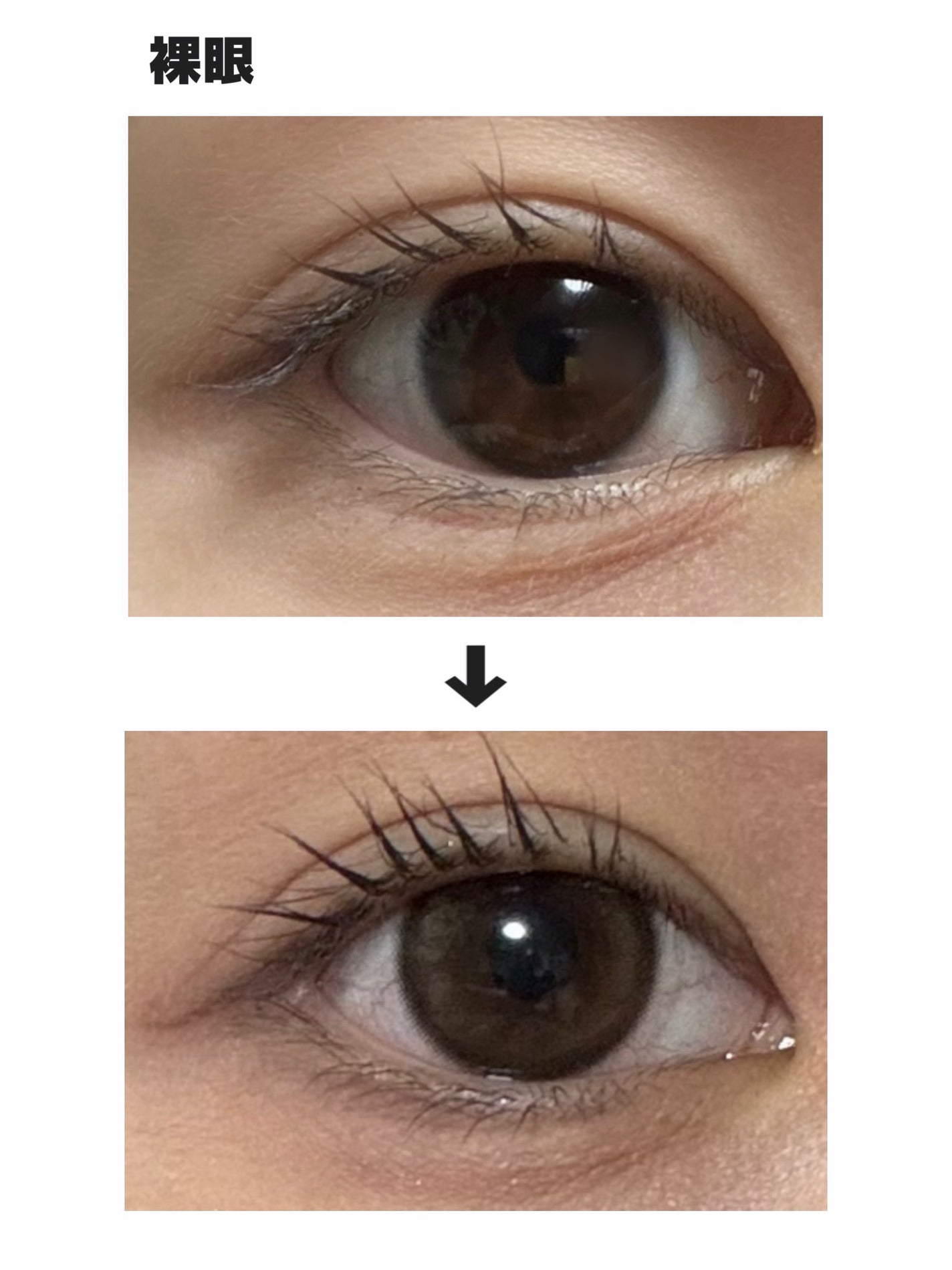 feliamo 1day/feliamo/ワンデー(1DAY)カラコンを使ったクチコミ(2枚目)