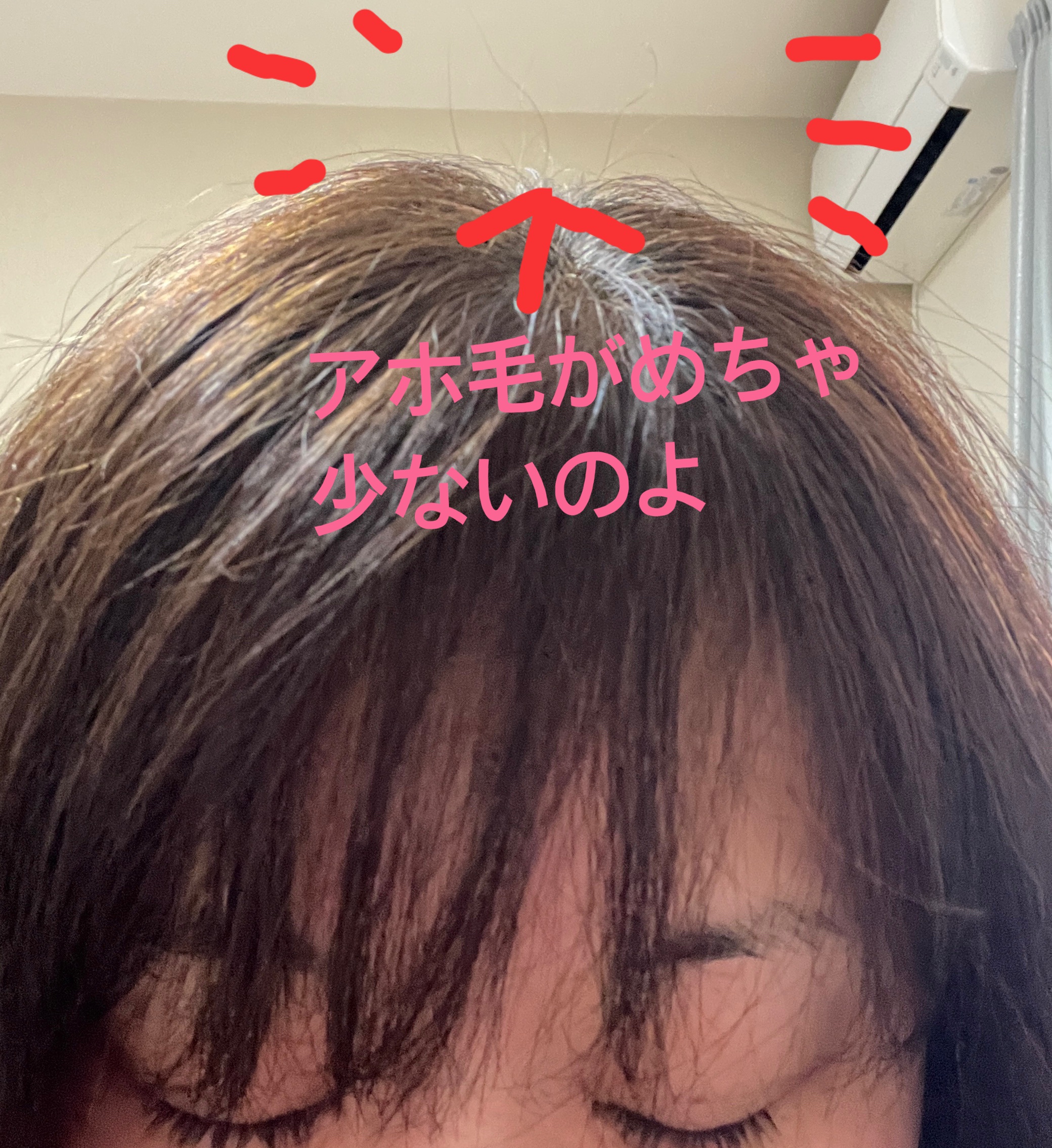 SILK THE RICH スカルプ&リペア シャンプー・トリートメント/SILK THE RICH/市販シャンプーを使ったクチコミ（3枚目）