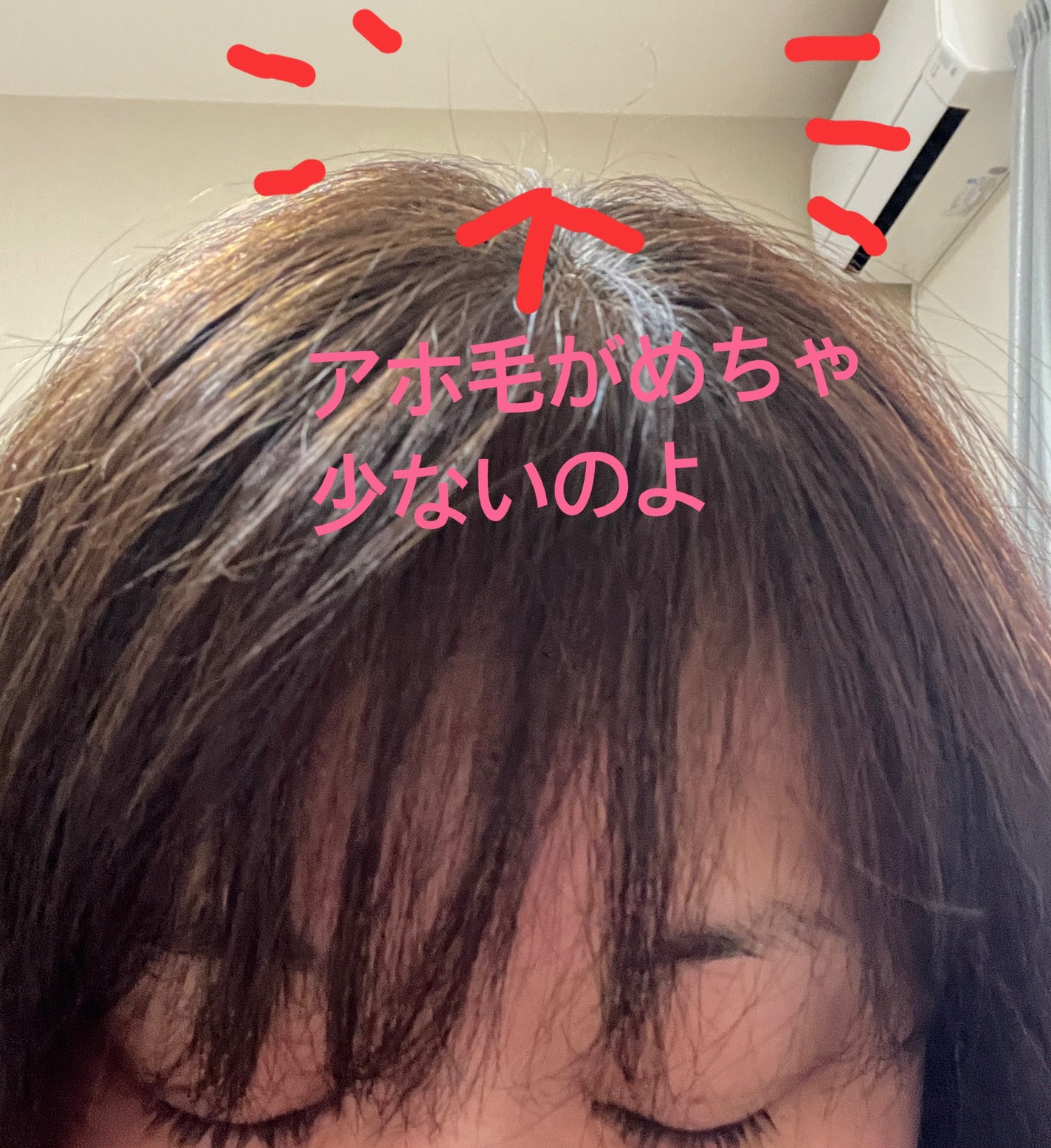 SILK THE RICH スカルプ&リペア シャンプー・トリートメント/SILK THE RICH/市販シャンプーを使ったクチコミ(3枚目)