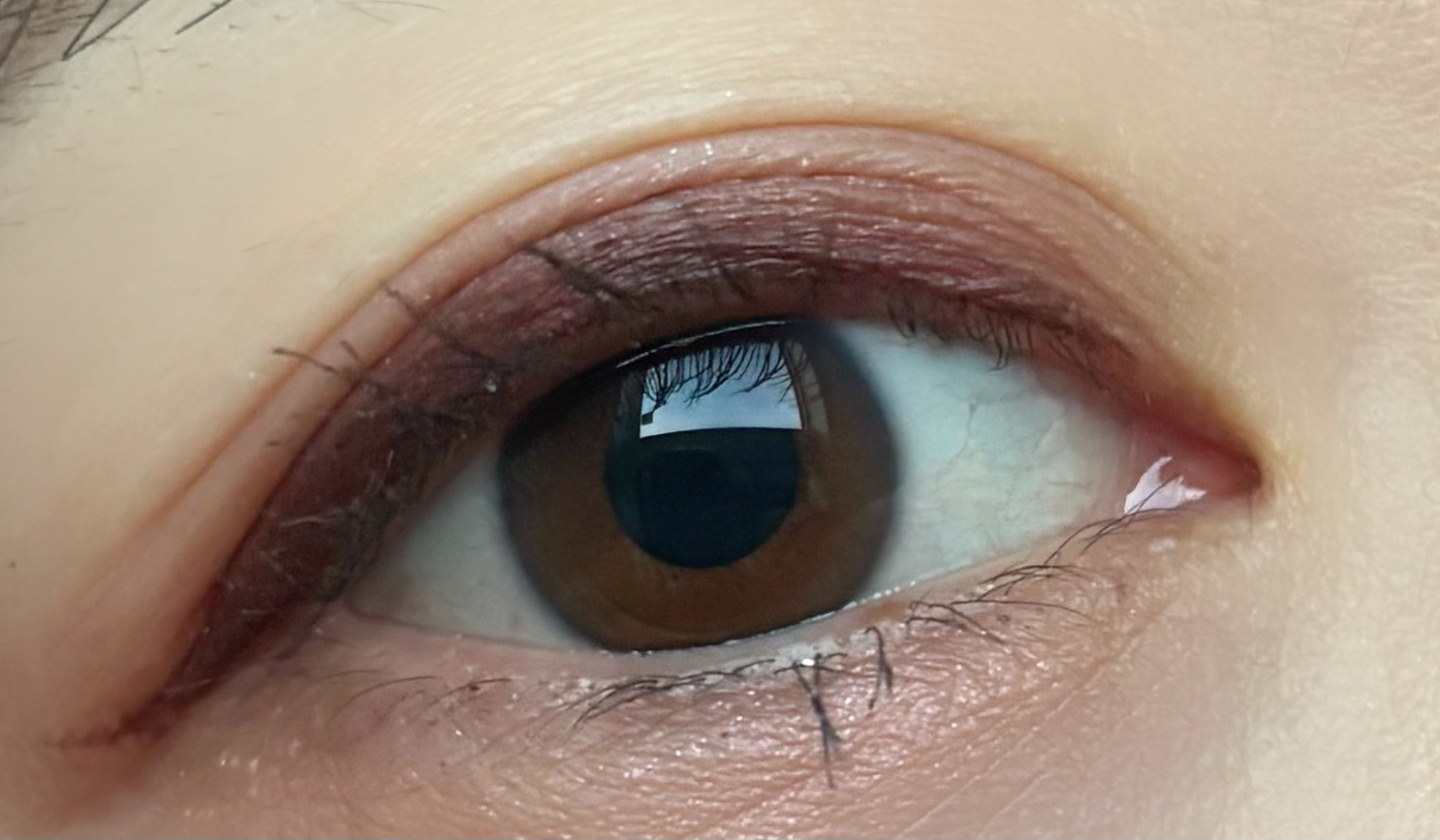 ベージュトーンアイシャドウ/CEZANNE/アイシャドウパレットを使ったクチコミ（3枚目）