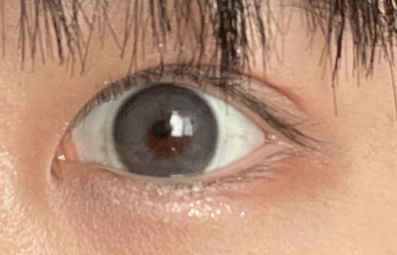 LENSSIS サンドシリーズ サンドグレー ¥1,800
✼••┈┈••✼••┈┈••✼••┈┈••✼••┈┈••✼

猫のようなクールな目元に🐱

青みがかったグレーで発色がいいです

自然と馴染む