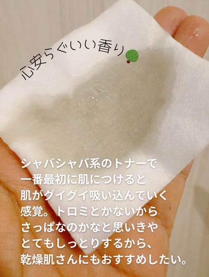 ファーストバランシングトナー/Lowlize/化粧水を使ったクチコミ(3枚目)