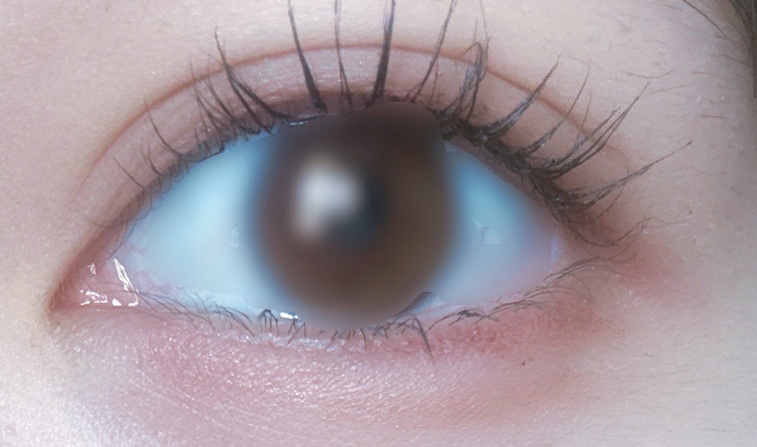 ラッシュフォーマーEX(クリア)/KATE/マスカラを使ったクチコミ（2枚目）