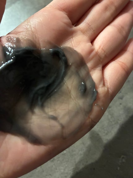 ローメルト クレンジングバーム クロ/アーレス/クレンジングバームを使ったクチコミ(3枚目)