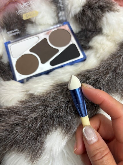 ヘアコンシーラーパレット&アーティスト デュアルブラシ/odiD/その他スタイリングを使ったクチコミ(4枚目)