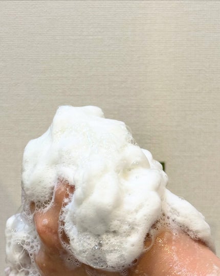 グリーンティー LHA ディープポアもちソープクレンザー/アレンシア/洗顔フォームを使ったクチコミ(5枚目)