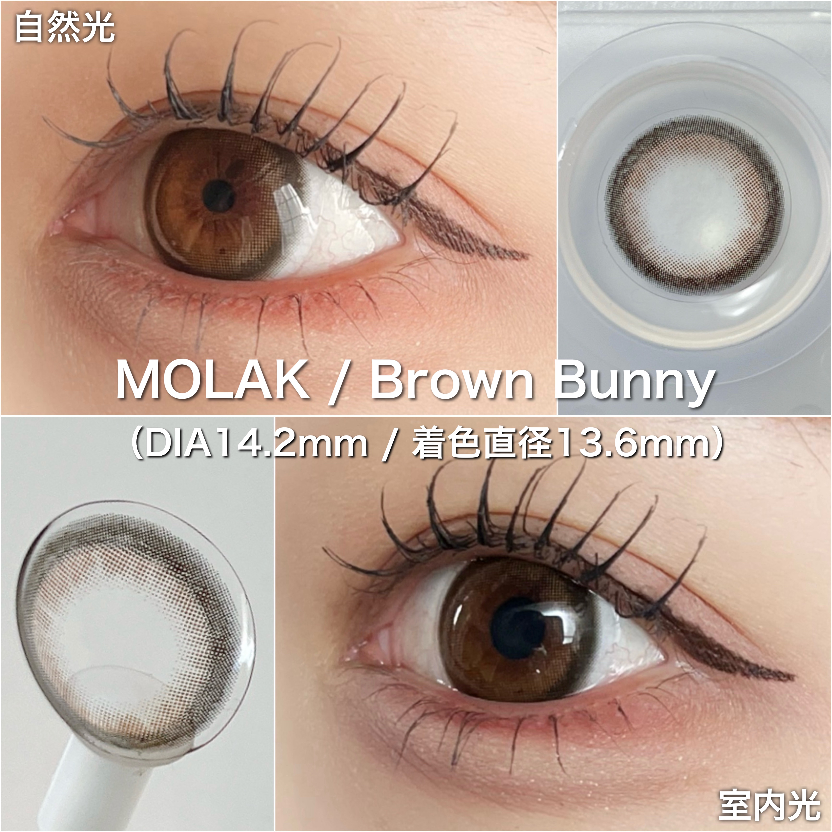 Angelcolor Bambi Series Vintage 1day ヴィンテージクラシック/AngelColor/ワンデー（１DAY）カラコンを使ったクチコミ（2枚目）