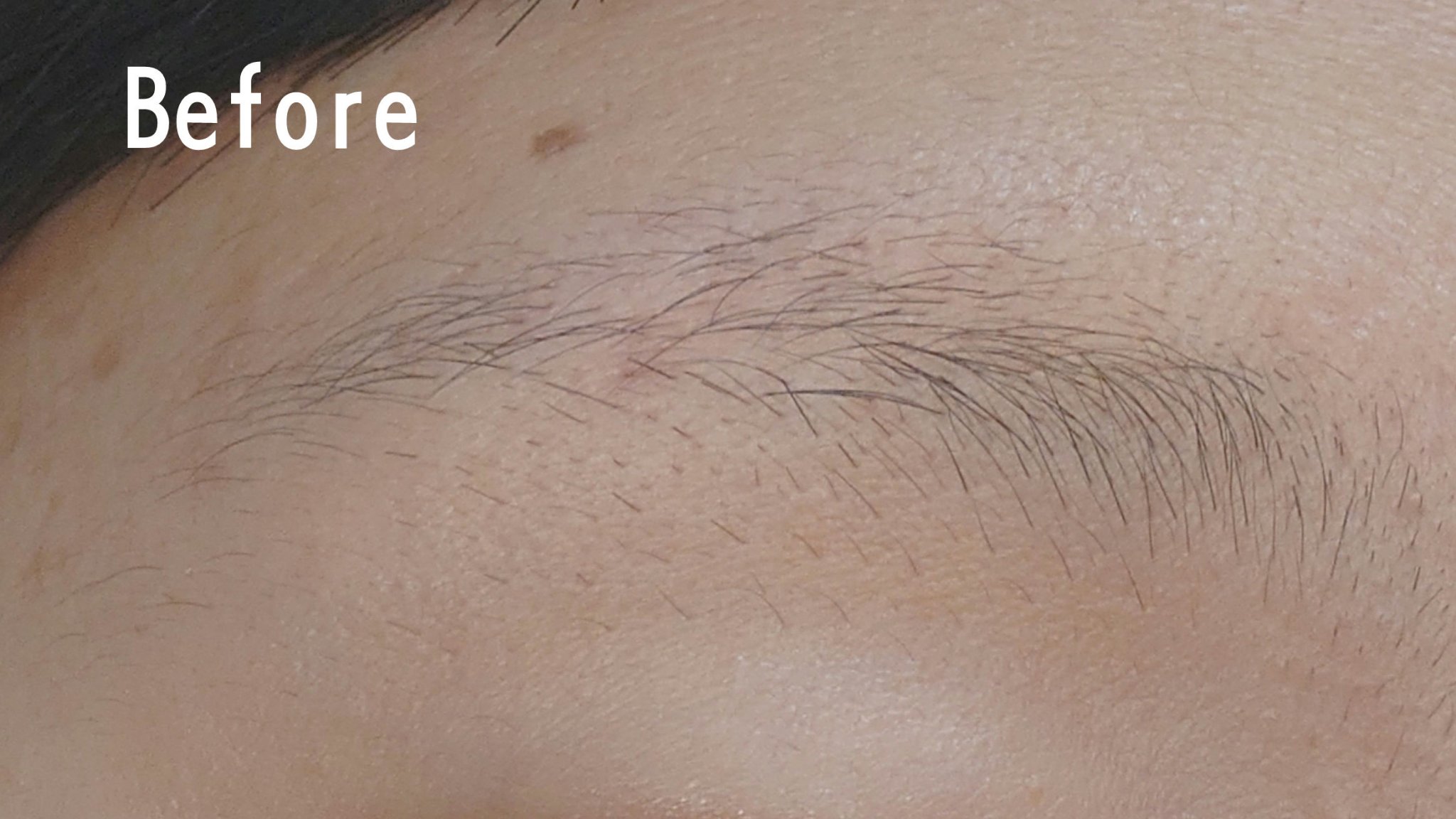 熊野筆 眉用/ロージーローザ/メイクブラシを使ったクチコミ（2枚目）