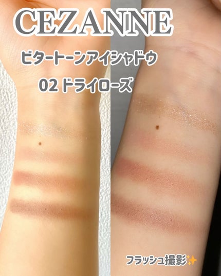 ビタートーンアイシャドウ/CEZANNE/パウダーアイシャドウを使ったクチコミ(5枚目)