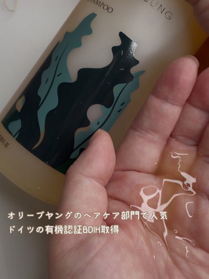 昆布シャンプー/シエムゼ/シャンプー・コンディショナーを使ったクチコミ(2枚目)