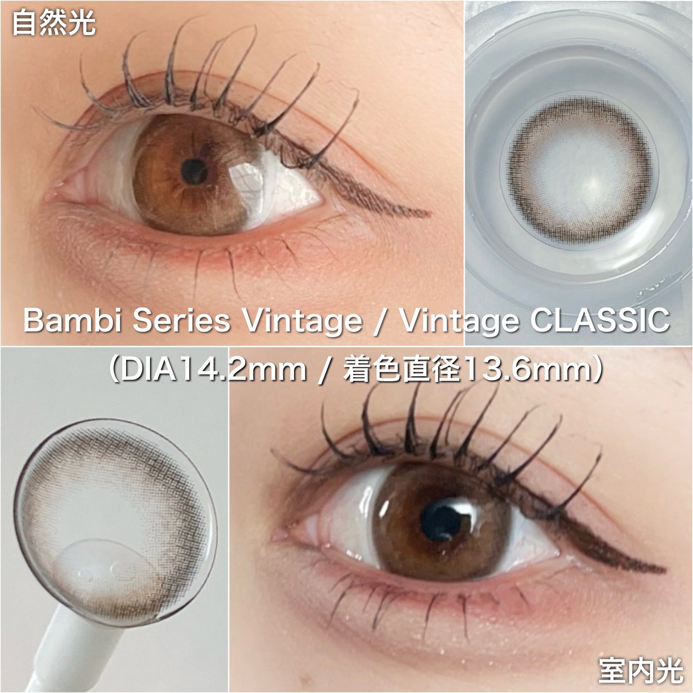Angelcolor Bambi Series Vintage 1day/AngelColor/ワンデー(1DAY)カラコンを使ったクチコミ(4枚目)