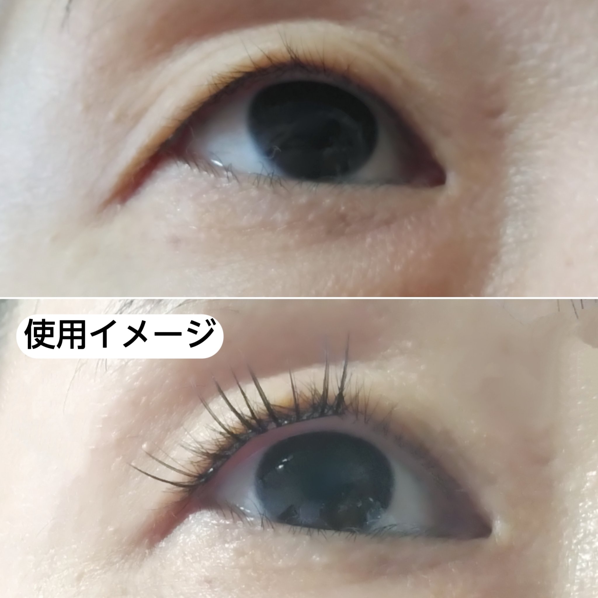 keybo BBiBBi LASH/keybo/つけまつげを使ったクチコミ（3枚目）