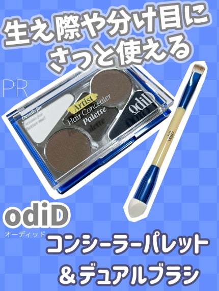 ヘアコンシーラーパレット&アーティスト デュアルブラシ/odiD/その他スタイリングを使ったクチコミ(1枚目)