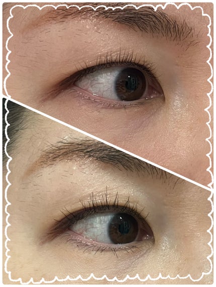 スキルレスアイラッシュ/LUMIURGLAS/マスカラを使ったクチコミ(3枚目)