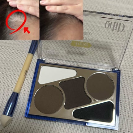 ヘアコンシーラーパレット&アーティスト デュアルブラシ/odiD/その他スタイリングを使ったクチコミ(4枚目)
