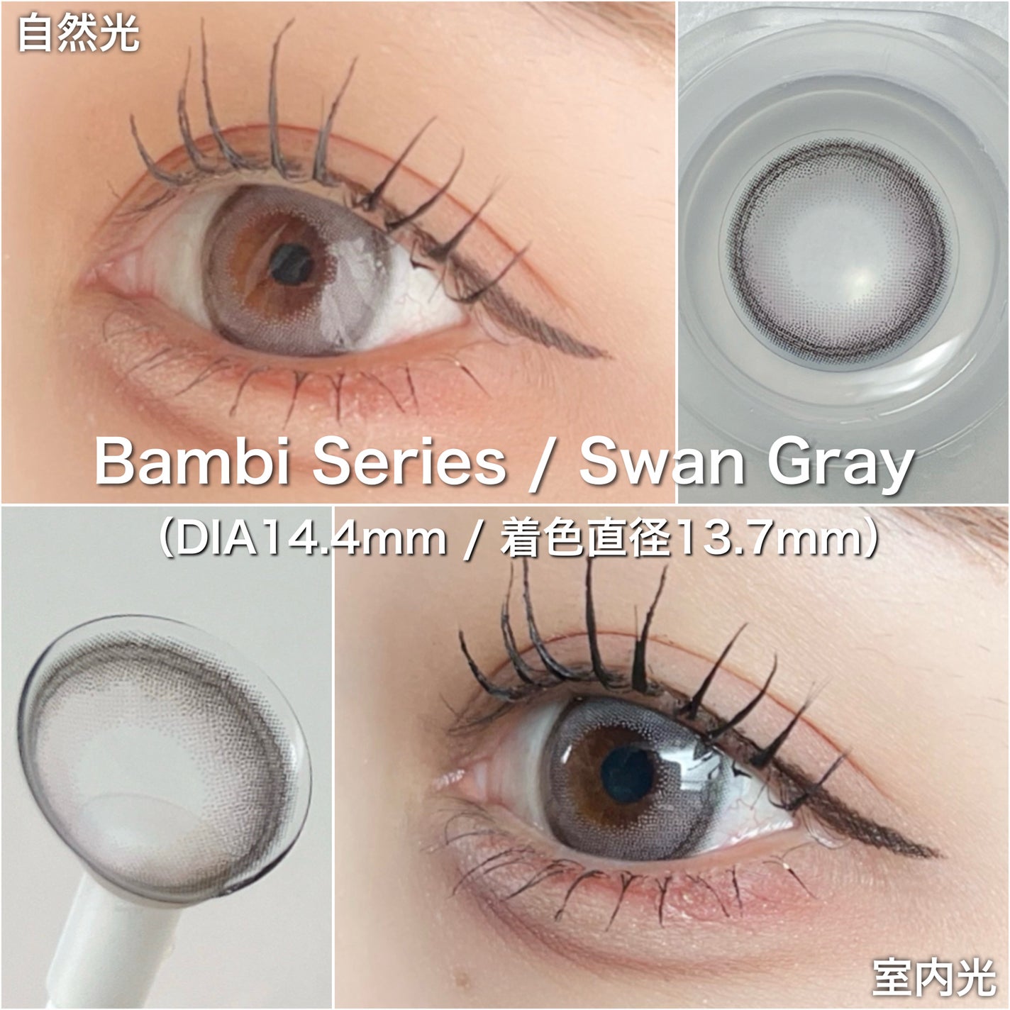 Angelcolor Bambi Series 1day /AngelColor/ワンデー(1DAY)カラコンを使ったクチコミ(2枚目)