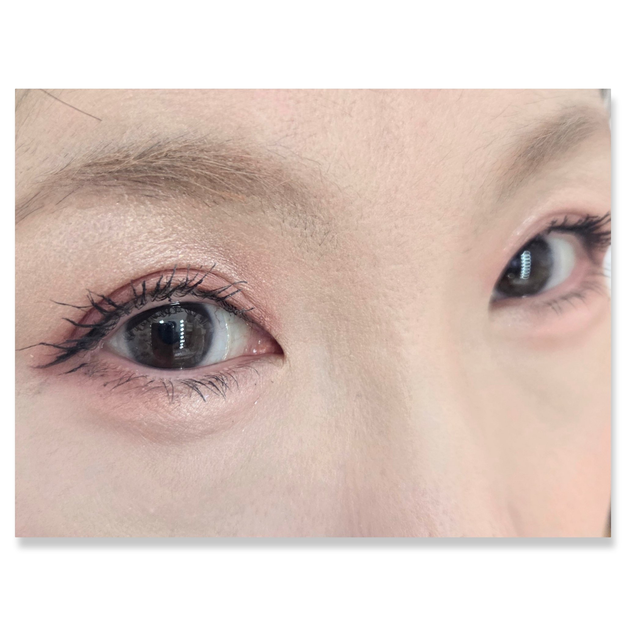 オーラクリエイション/BLEND BERRY/アイシャドウパレットを使ったクチコミ（2枚目）