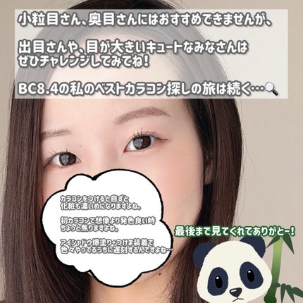 a-eye/リフレア/ワンデー(1DAY)カラコンを使ったクチコミ(5枚目)