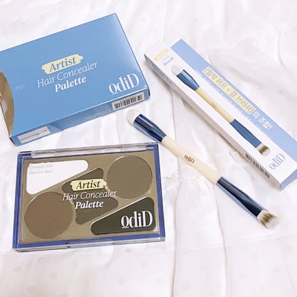 アーティストライン ヘアコンシーラーパレット/odiD/その他スタイリングを使ったクチコミ(5枚目)