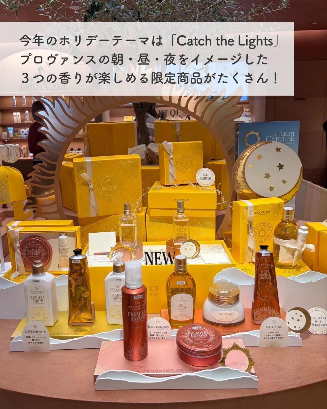 ニュイ フェスティブ ミルクコンセントレート/L'OCCITANE/ボディクリームを使ったクチコミ（3枚目）