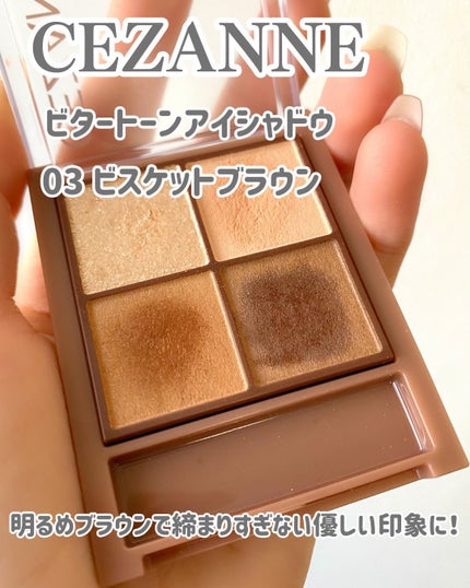 ビタートーンアイシャドウ/CEZANNE/パウダーアイシャドウを使ったクチコミ(6枚目)