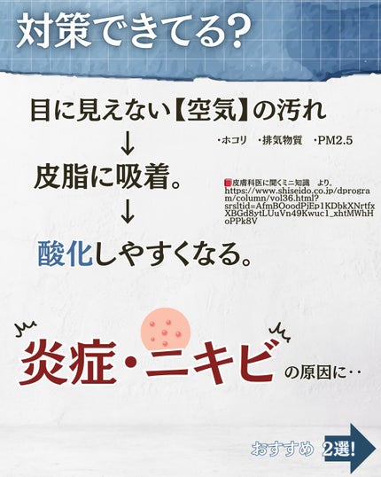 スキンケアパウダー/IPSA/プレストパウダーを使ったクチコミ(2枚目)