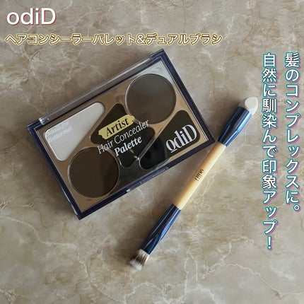ヘアコンシーラーパレット&アーティスト デュアルブラシ/odiD/その他スタイリングを使ったクチコミ(1枚目)