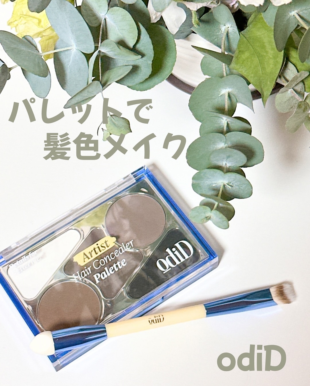  ヘアコンシーラーパレット&アーティスト デュアルブラシ/odiD/その他スタイリングを使ったクチコミ（1枚目）