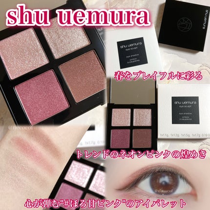 アイスカルプト/shu uemura/アイシャドウパレットを使ったクチコミ(1枚目)