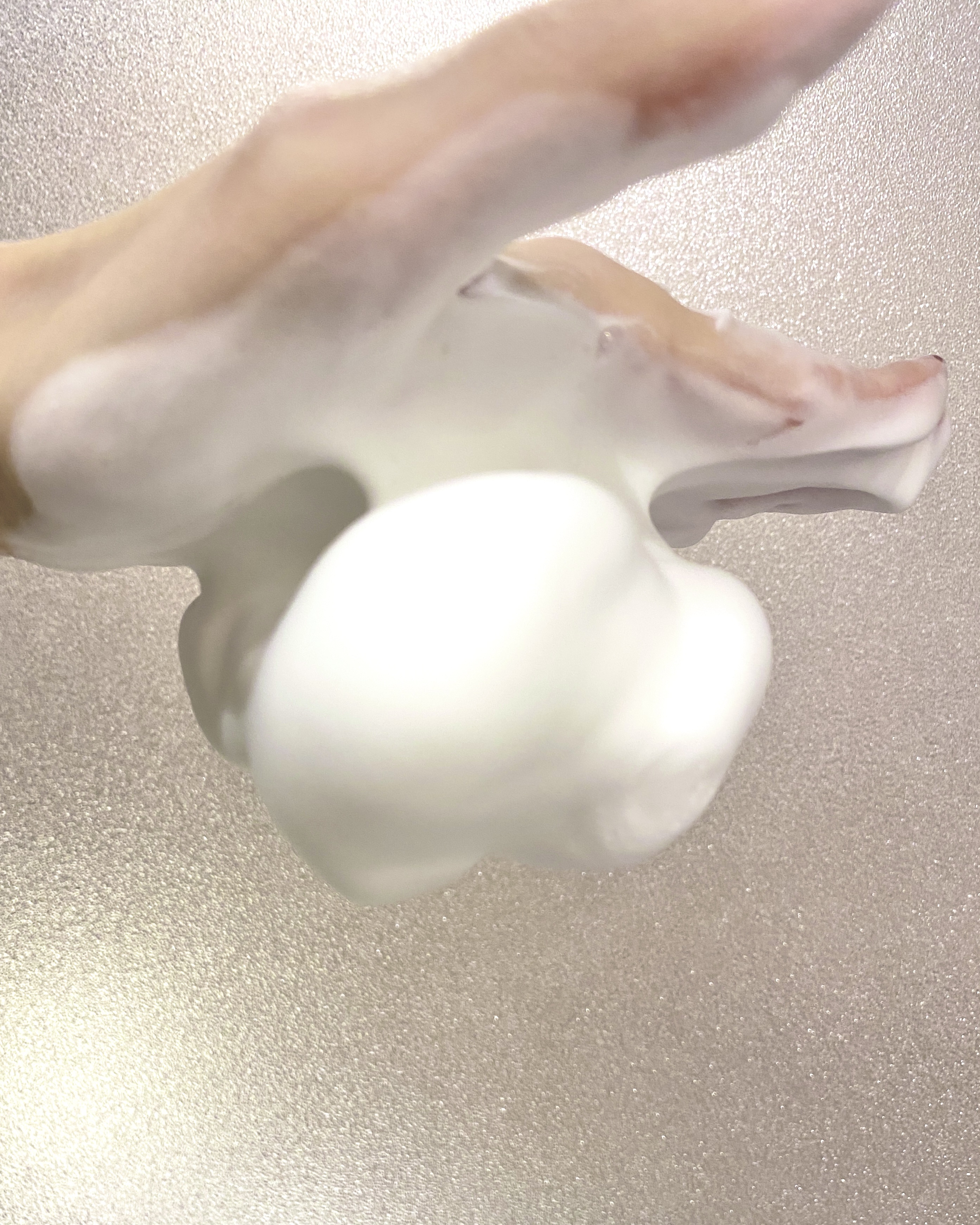 シルキーフォーム/ナチュラルウェイ/泡洗顔を使ったクチコミ（2枚目）