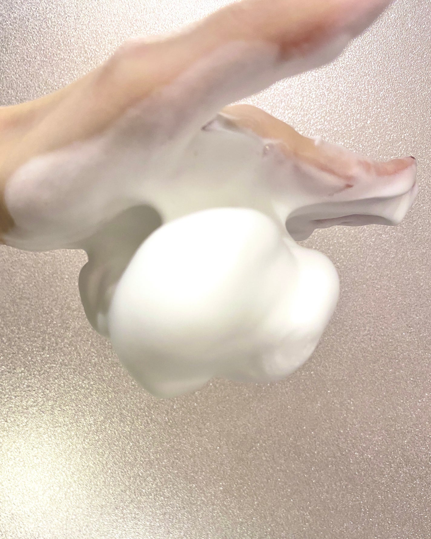 シルキーフォーム/ナチュラルウェイ/泡洗顔を使ったクチコミ(2枚目)