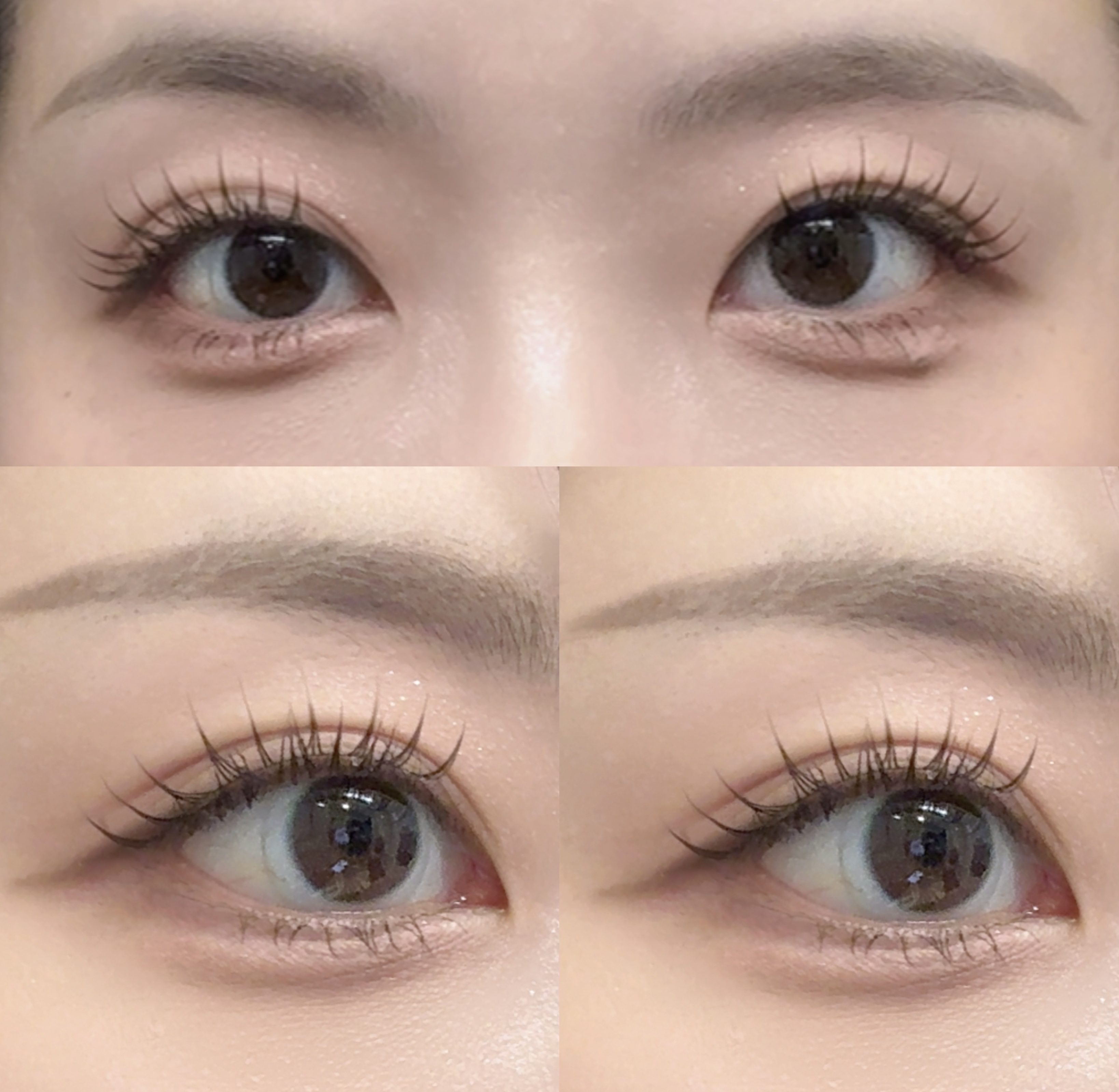 ラッシュフォーカス/D-UP/つけまつげを使ったクチコミ（3枚目）