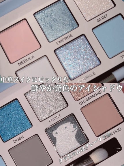 エクスプローラ12色 動物アイシャドウパレット/PERFECT DIARY/アイシャドウパレットを使ったクチコミ(3枚目)