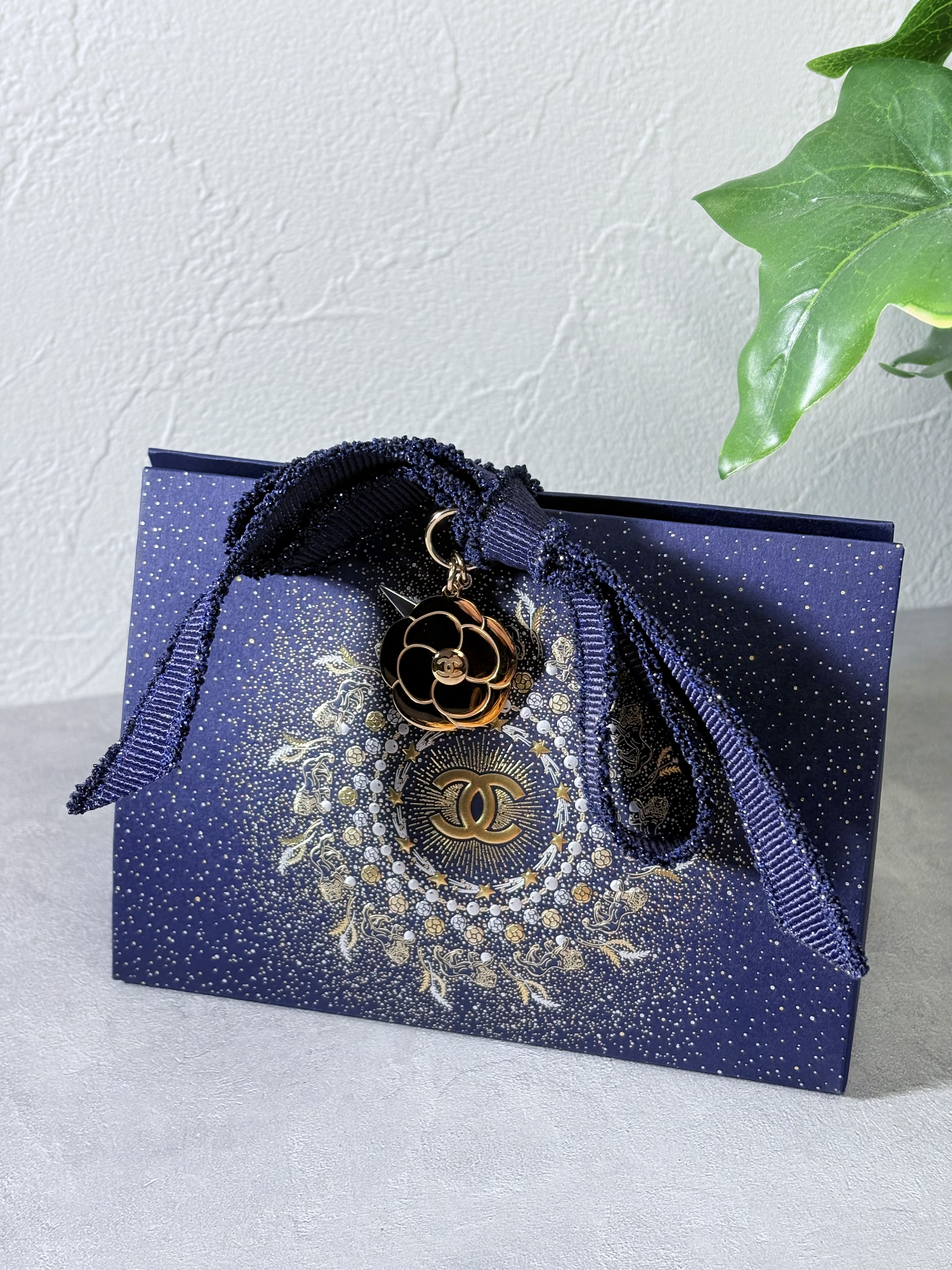 ヴェルニ/CHANEL/マニキュアを使ったクチコミ（1枚目）