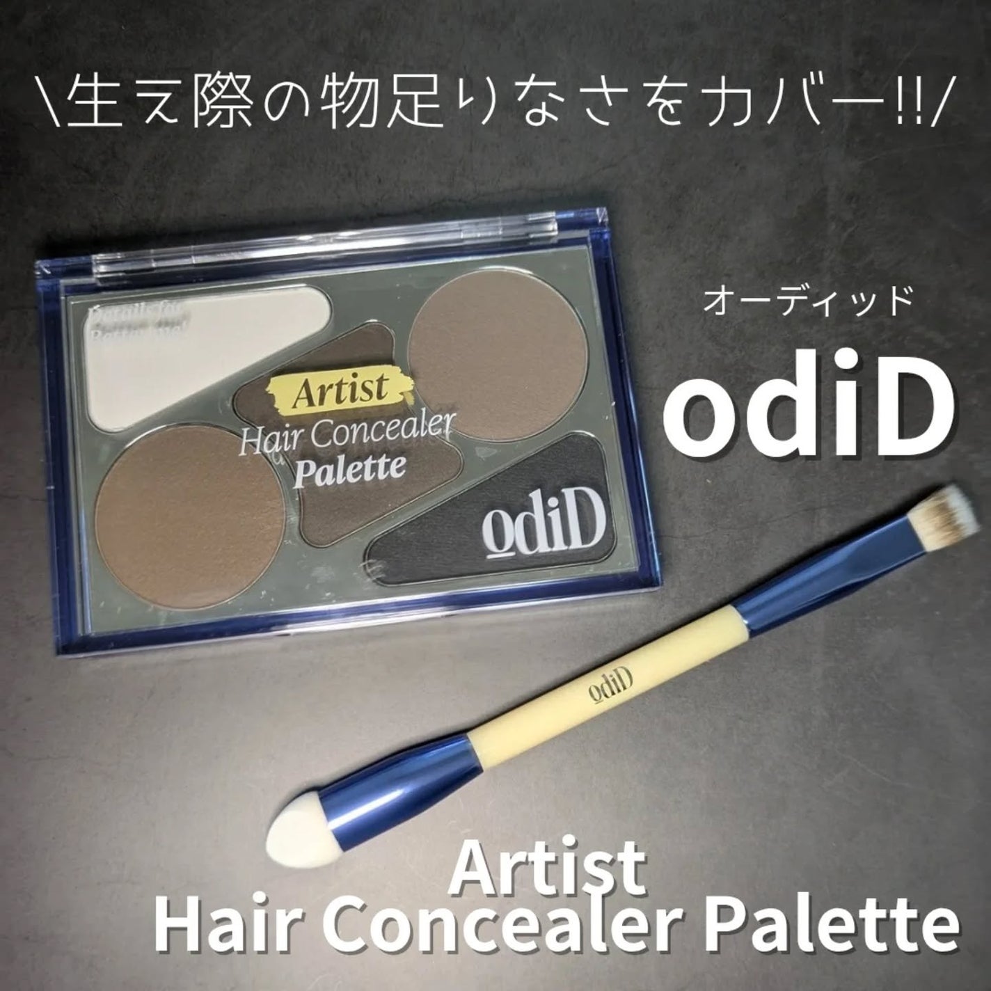 アーティストライン ヘアコンシーラーパレット/odiD/その他スタイリングを使ったクチコミ(1枚目)