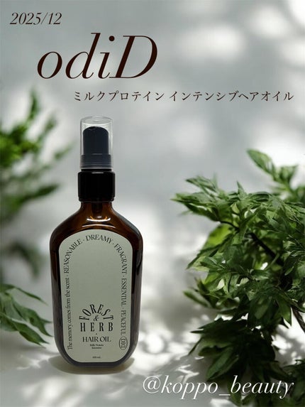 ミルクプロテインインテンシブヘアオイル/odiD/ヘアオイルを使ったクチコミ(1枚目)