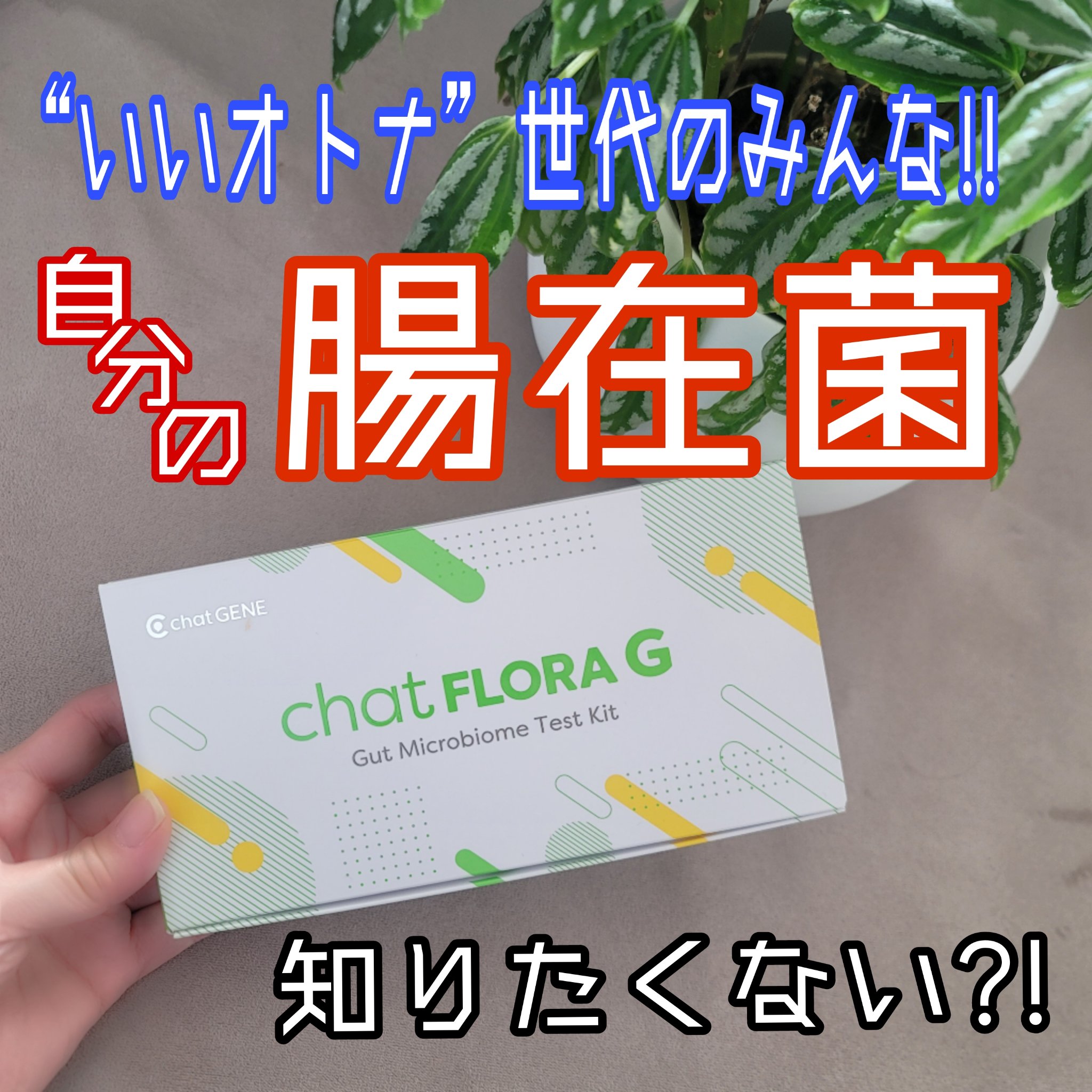 chat FLORA G/chatFLORA G/遺伝子検査キットを使ったクチコミ（1枚目）