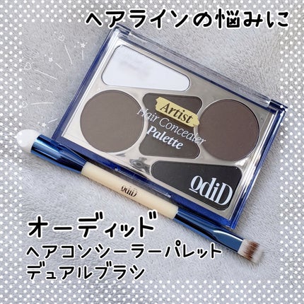 ヘアコンシーラーパレット&アーティスト デュアルブラシ/odiD/その他スタイリングを使ったクチコミ(1枚目)
