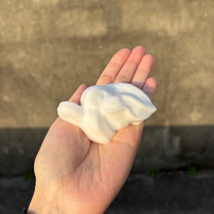 ビオレ ザ ボディ ととのい肌 フルーティ&ムスクの香り/ビオレ/ボディソープを使ったクチコミ(2枚目)