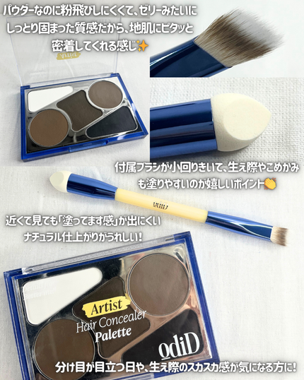 ヘアコンシーラーパレット&アーティスト デュアルブラシ/odiD/その他スタイリングを使ったクチコミ(2枚目)