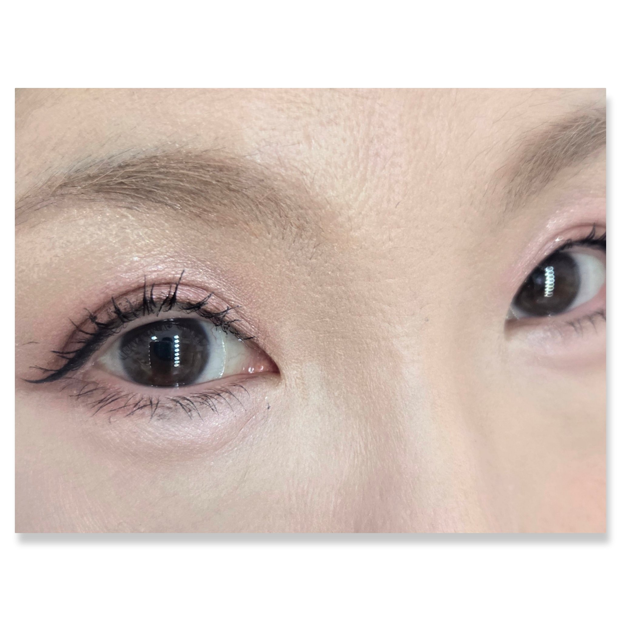 ティルナス  パールコア アイパレット/tilnus/アイシャドウパレットを使ったクチコミ（2枚目）