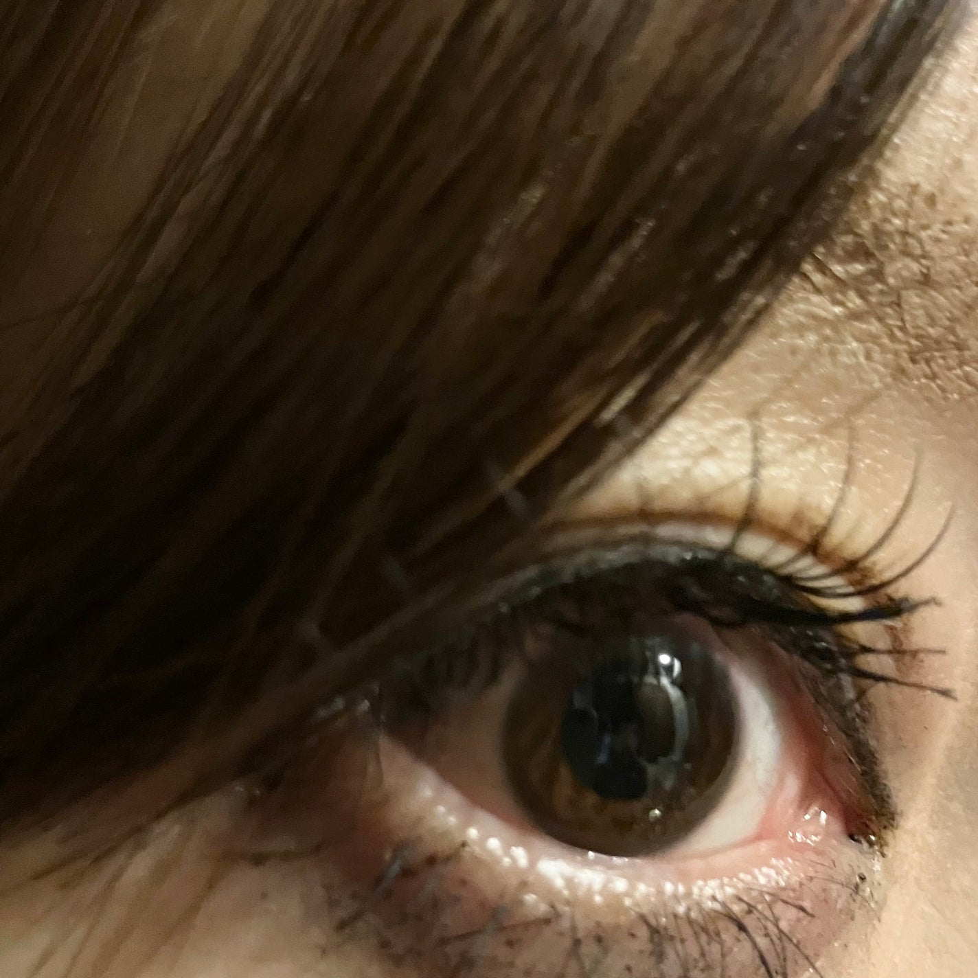 ラッシュフォーカス/D-UP/つけまつげを使ったクチコミ(3枚目)