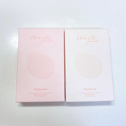 Dewy Fit Palette/lilybyred/アイシャドウパレットを使ったクチコミ(4枚目)