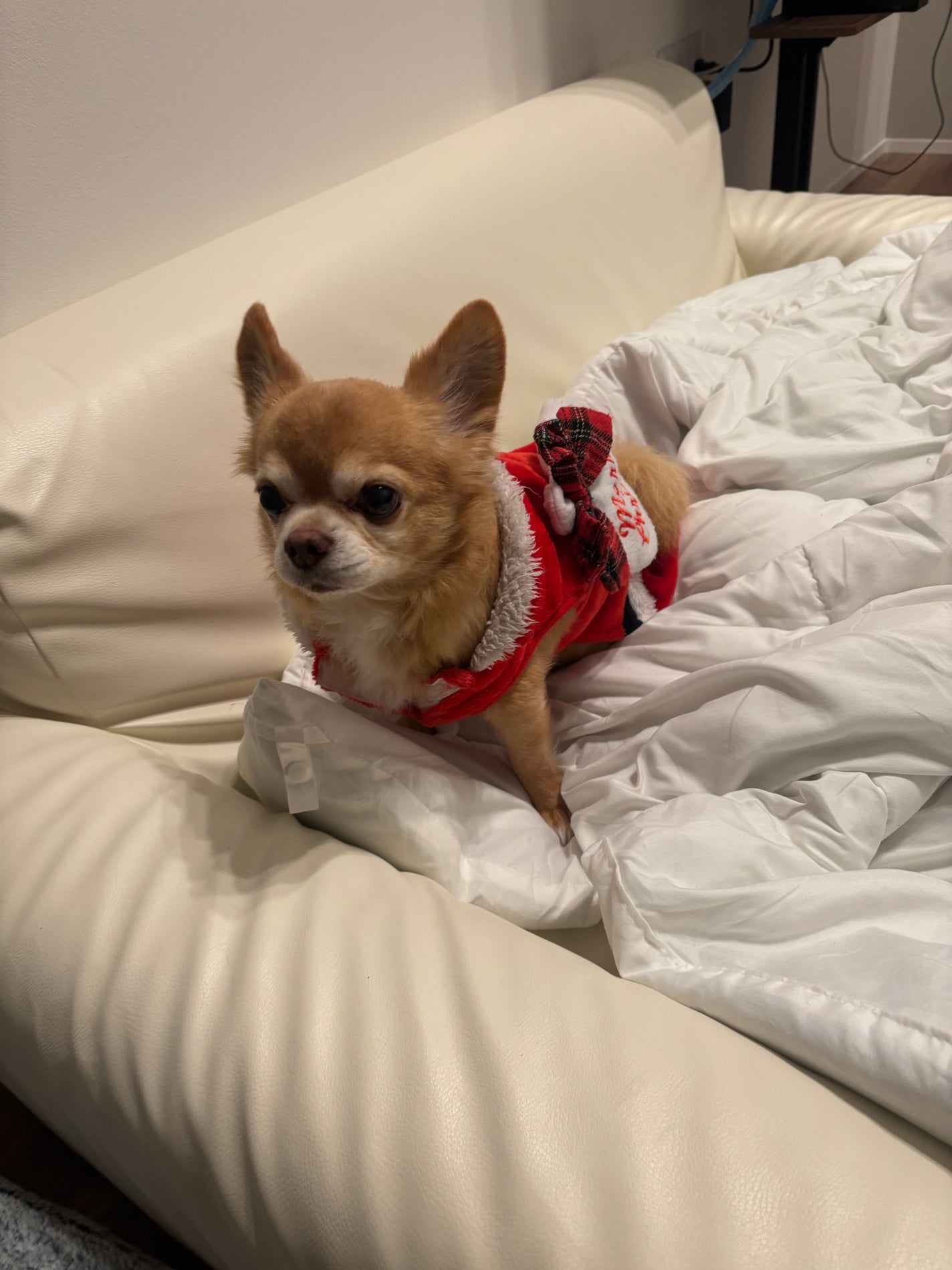 gene TOKYO ネイル/DAISO/マニキュアを使ったクチコミ(8枚目)