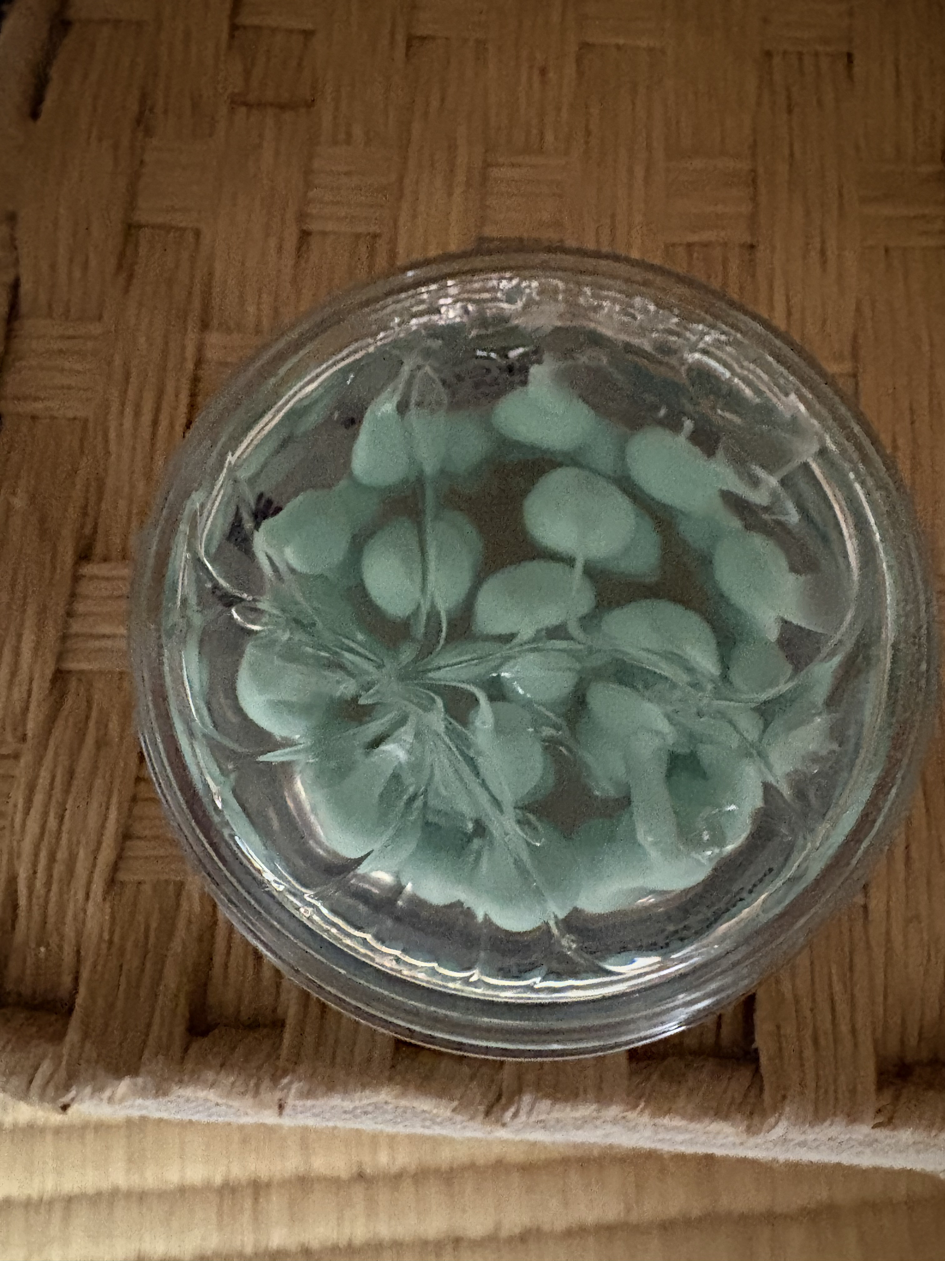 PDRN カプセルクリーム 100/VT/フェイスクリームを使ったクチコミ（2枚目）