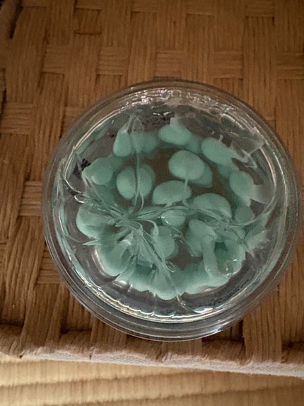 PDRN カプセルクリーム 100/VT/フェイスクリームを使ったクチコミ(2枚目)