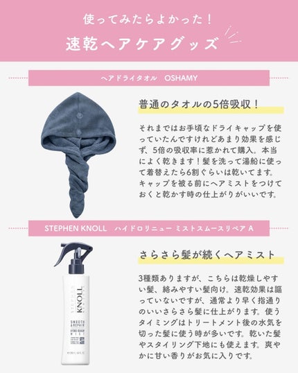 スティーブンノル ハイドロリニューミスト モイスチュアリペア A 250ml/スティーブンノル ニューヨーク/プレスタイリング・寝ぐせ直しの画像