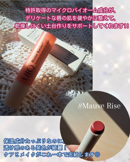 バイオームバリアメルティングモイスチャーリップバーム/UIQ/リップバームを使ったクチコミ(2枚目)