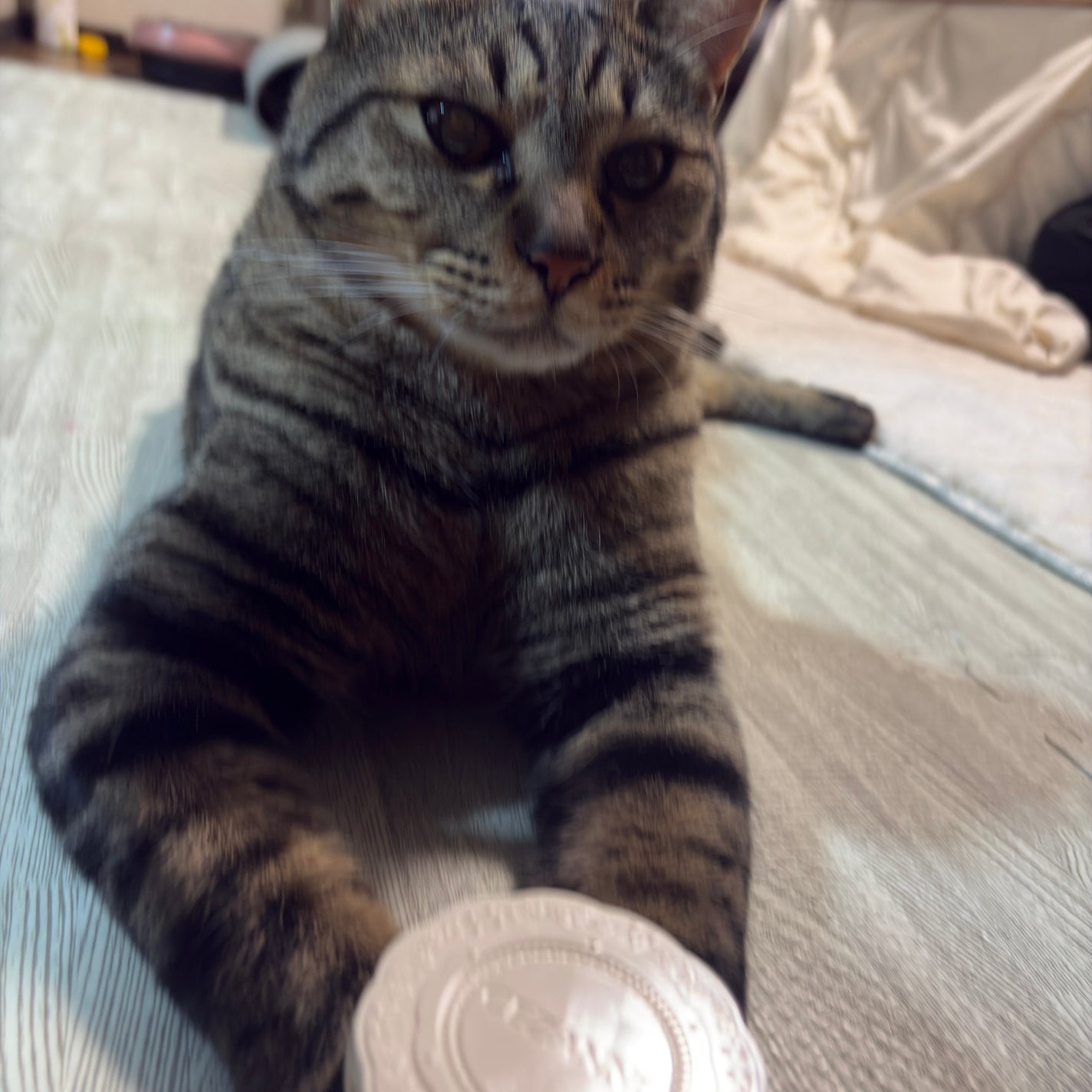 UVシルクカバーパウダー/CEZANNE/プレストパウダーを使ったクチコミ(3枚目)